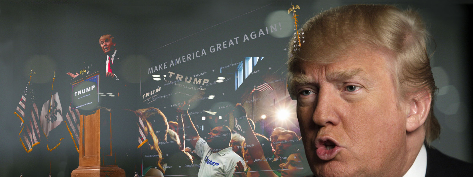 Help Me Write Cheap Reflective Essay On Trump